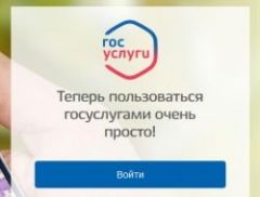 Россияне смогут получить данные о недвижимости на портале госуслуг