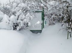 В Союзе садоводов РФ предупредили о штрафах для дачников зимой